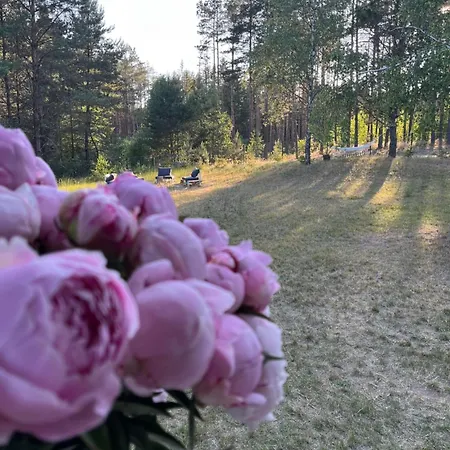 Bullerbyn Na Kaszubach Niesiolowice