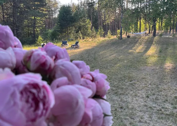 Bullerbyn Na Kaszubach Niesiolowice